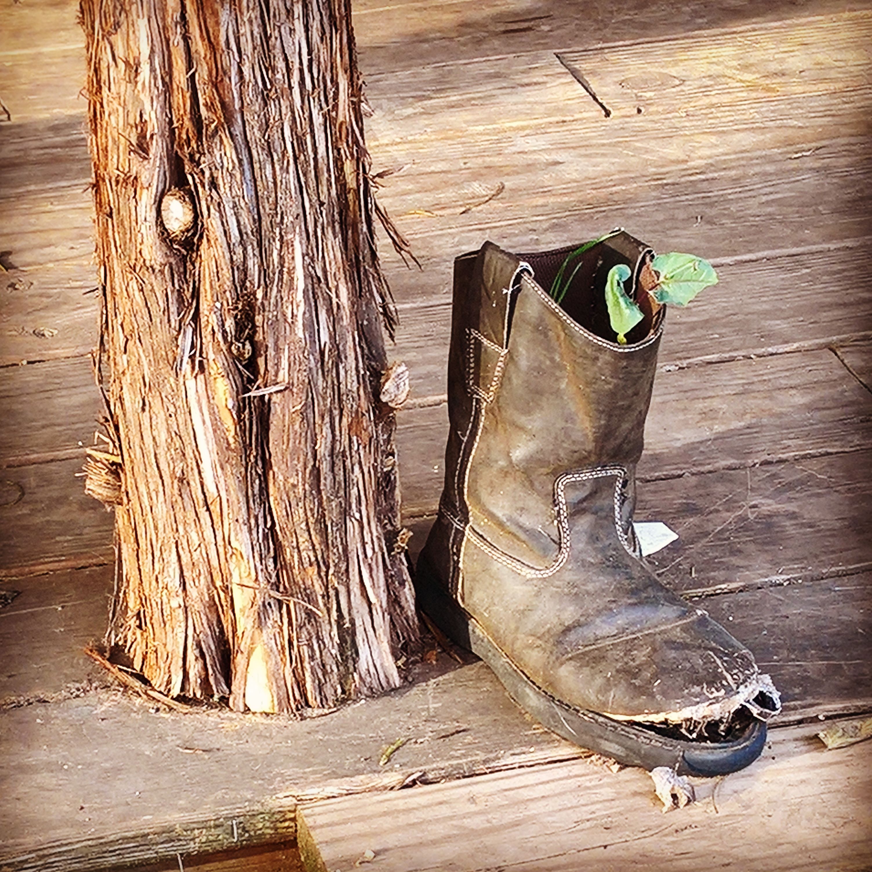 Repurposing an Old Boot